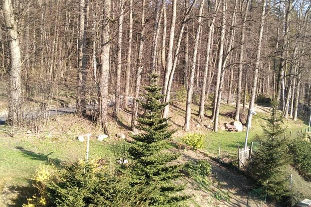 Beautiful, modern, quite flat near the nature Karpacz Extérieur photo