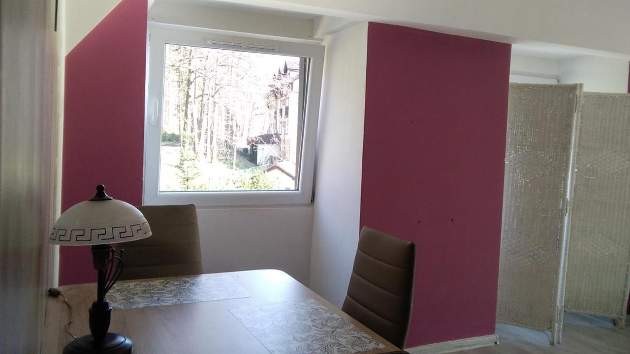 Beautiful, modern, quite flat near the nature Karpacz Extérieur photo