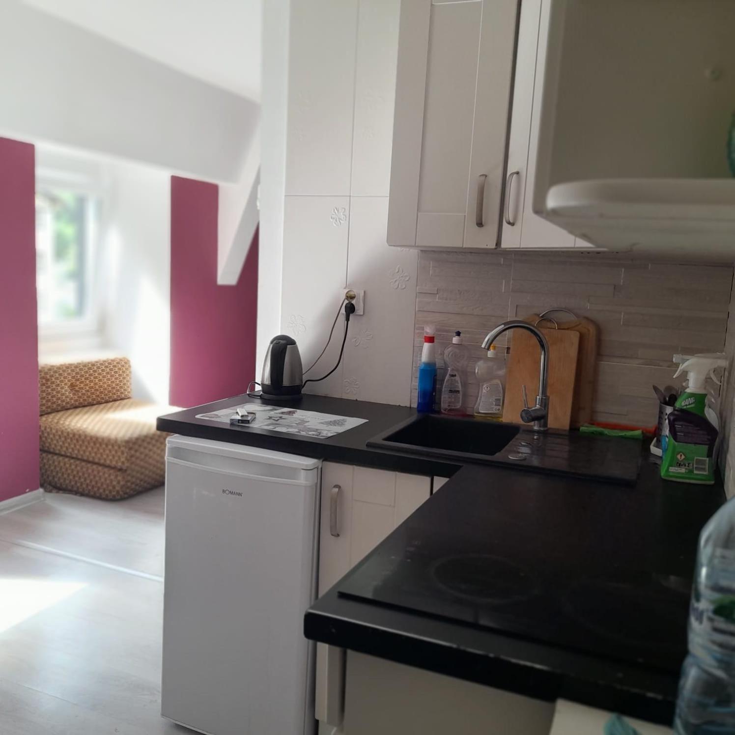 Beautiful, modern, quite flat near the nature Karpacz Extérieur photo